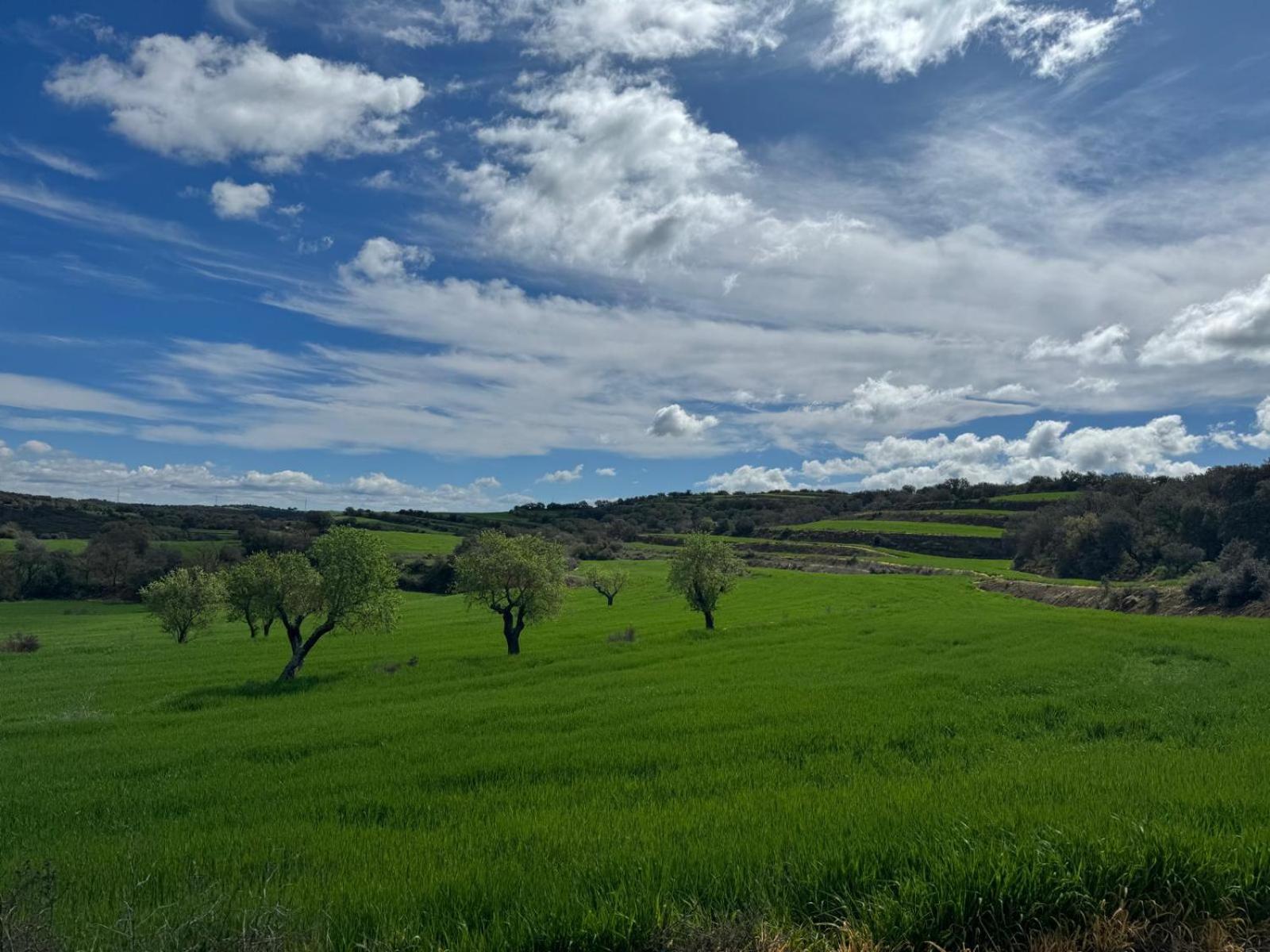 Masia De Queralt Luxury Casa Rural Spa Y Vistas Concabella Eksteriør bilde
